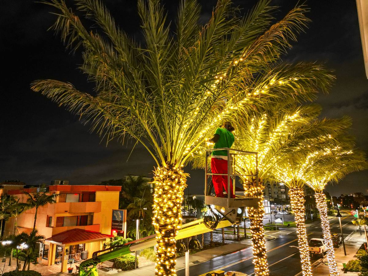 Commercial holiday lighting for Tampa businesses and communities