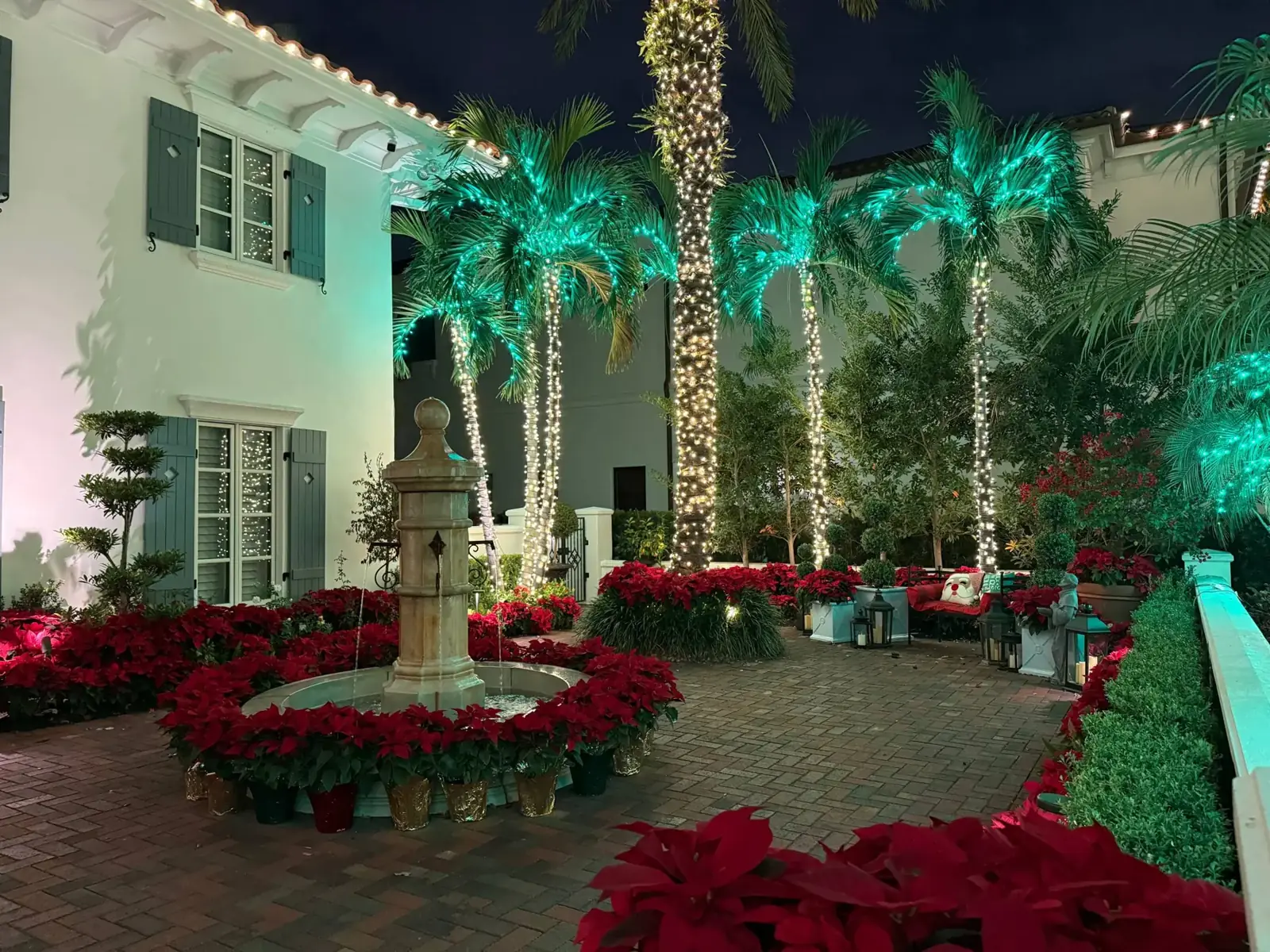 Courtyard with teal-lit palms, poinsettias and a lit fountain