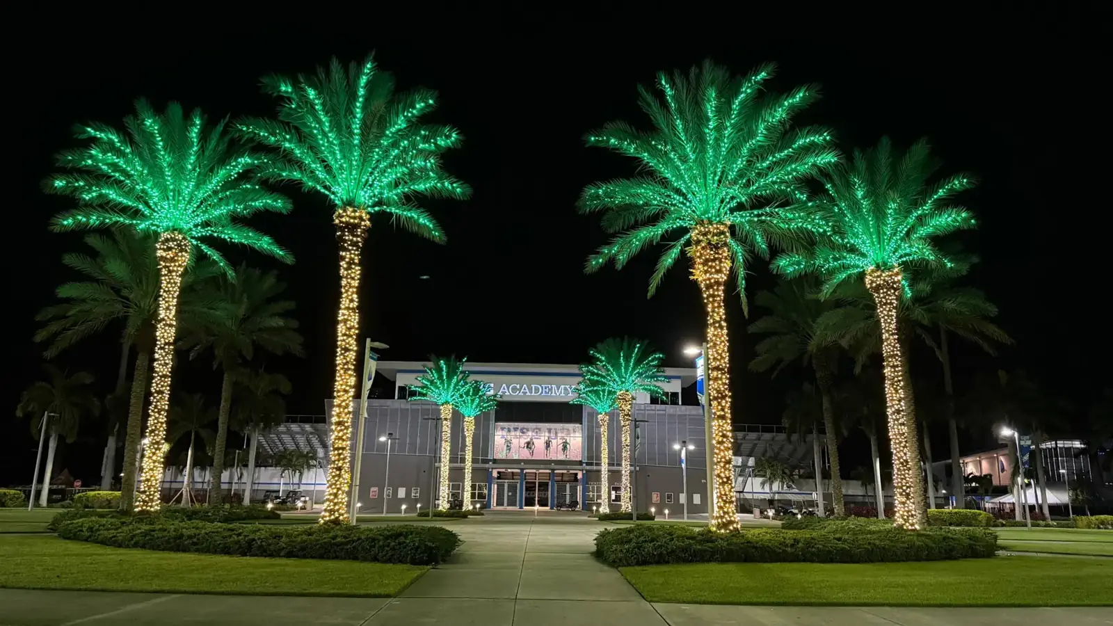 Four palms wrapped in white with green fronds at a Tampa entrance