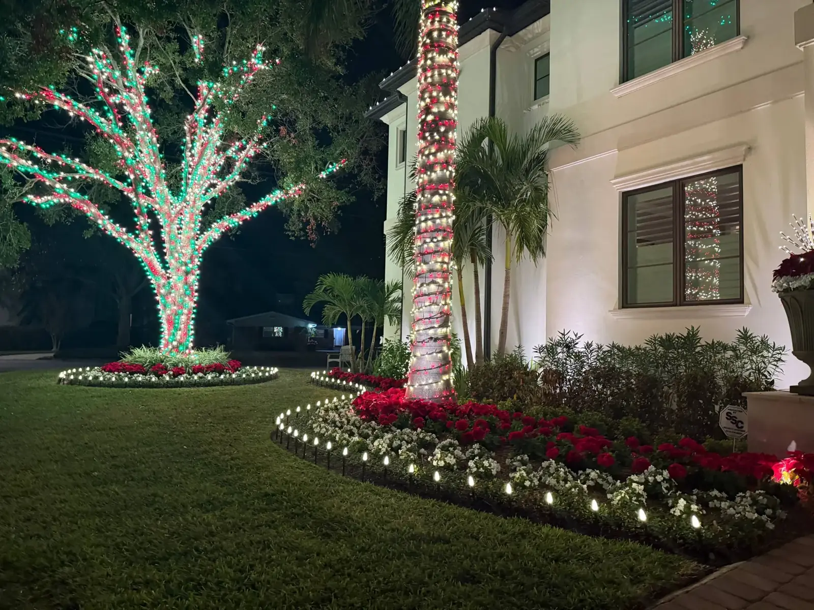 Grand oak and palm wrapped in warm white Christmas lights in front of a Tampa home