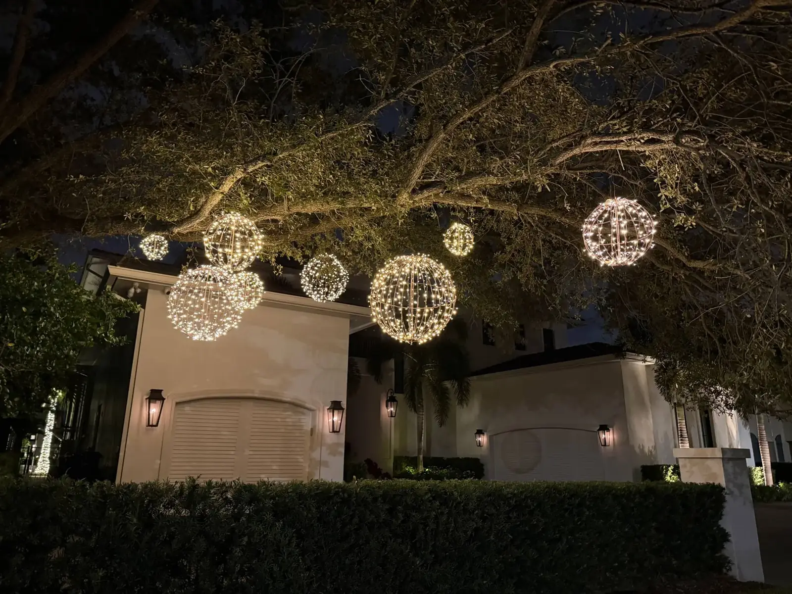 Light spheres hanging from an oak over a lit driveway
