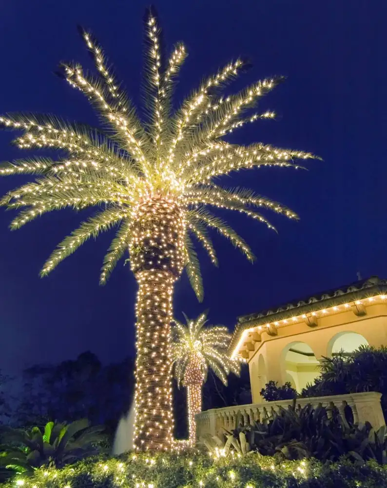 Palm and tree wrap holiday lighting installation in Tampa by Holiday Decorating Tampa (2)