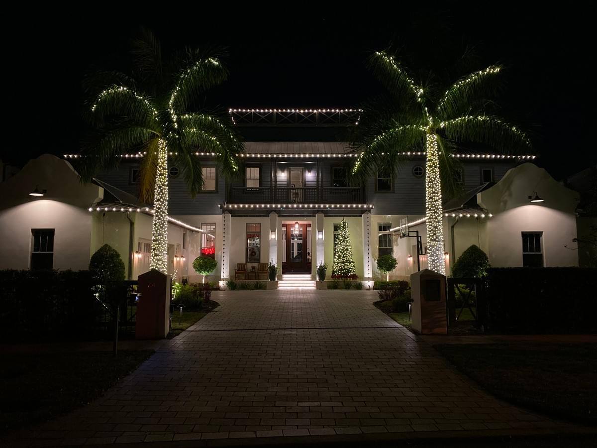 Palm trees and rooflines glowing with wreaths and holiday decor in Tampa