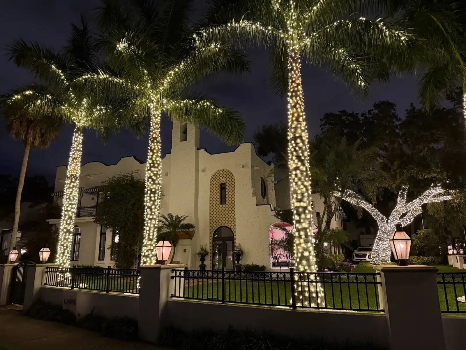 Palms wrapped in champagne white lights beside a Tampa home for New Year's Eve